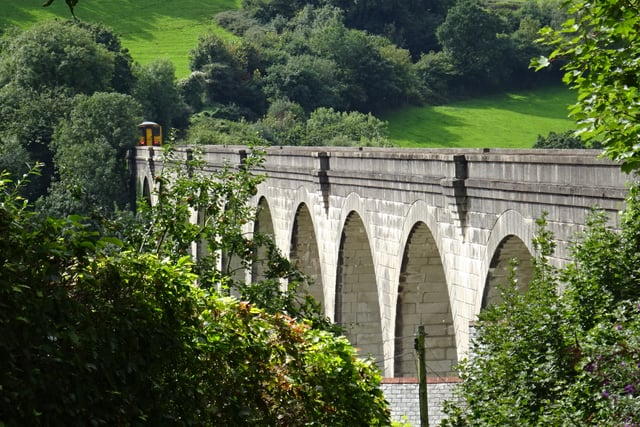 Tamar Valley line crowned UK’s most scenic train journey