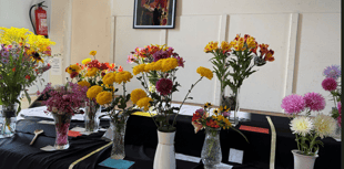 Community news from across North Cornwall and Torridge