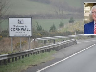 Former councillor challenges Cornwall Council over investment bias