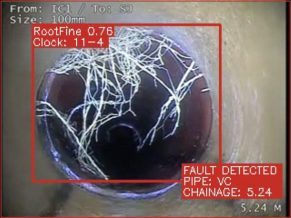 SWW explores power of AI to help tackle challenges