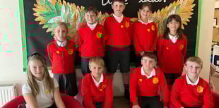 Pupils take to the polls to elect new student council