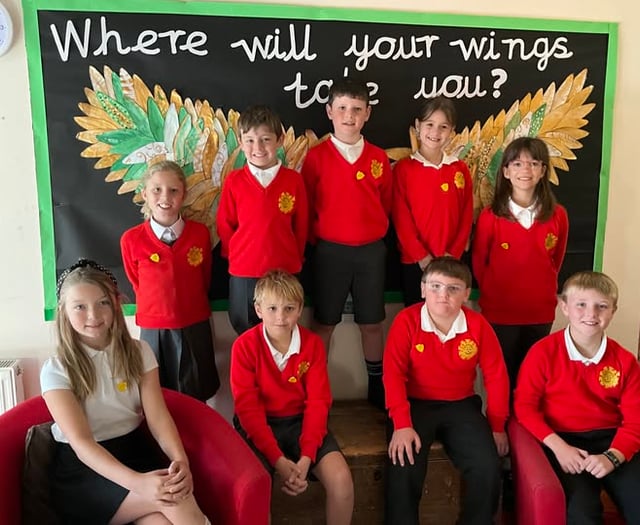 Pupils take to the polls to elect new student council