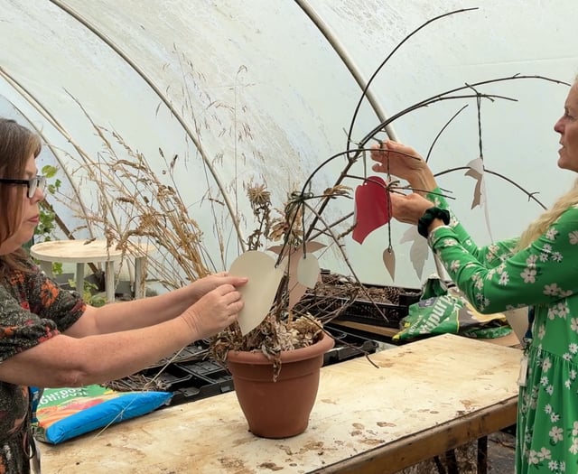 New project uses nature to boost mental health