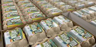 Cornish family business transforming egg industry with tech investment