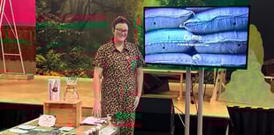 More community news from across North Cornwall