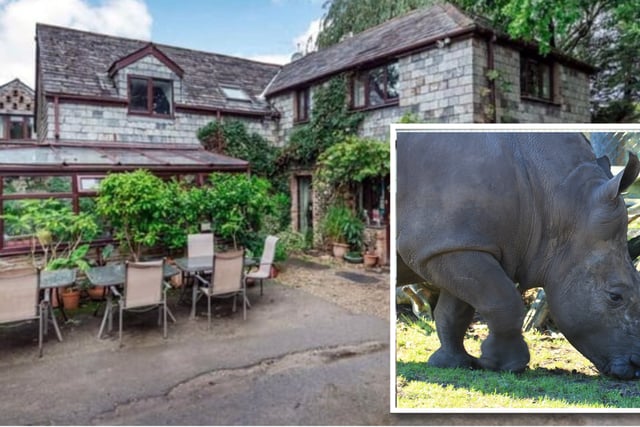 Rhino zoo in Launceston approved