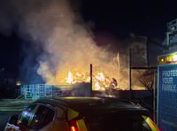 Cattle rescued as firefighters battle major barn fire 