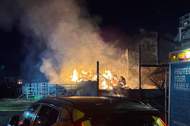 Cattle rescued as firefighters battle major barn fire 