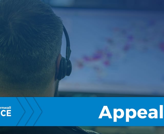 Woman dies after collision