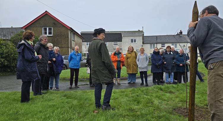 Lezant WI tree planting