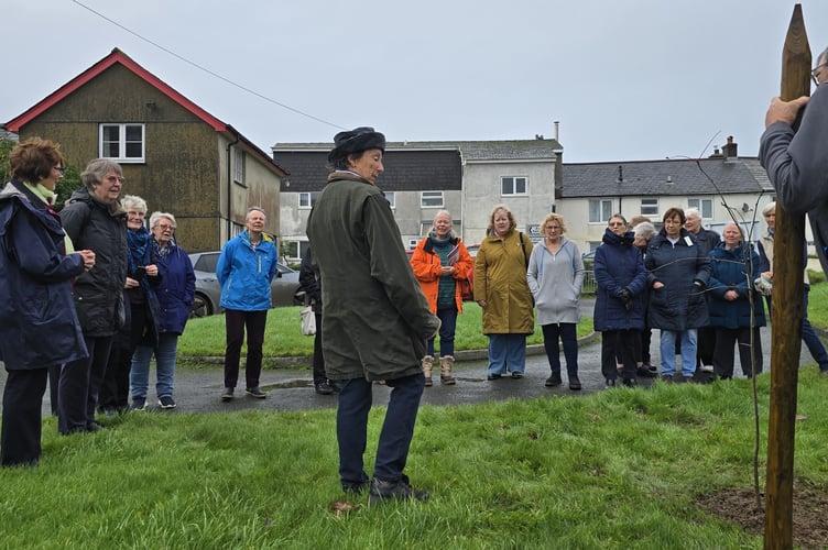Lezant WI tree planting