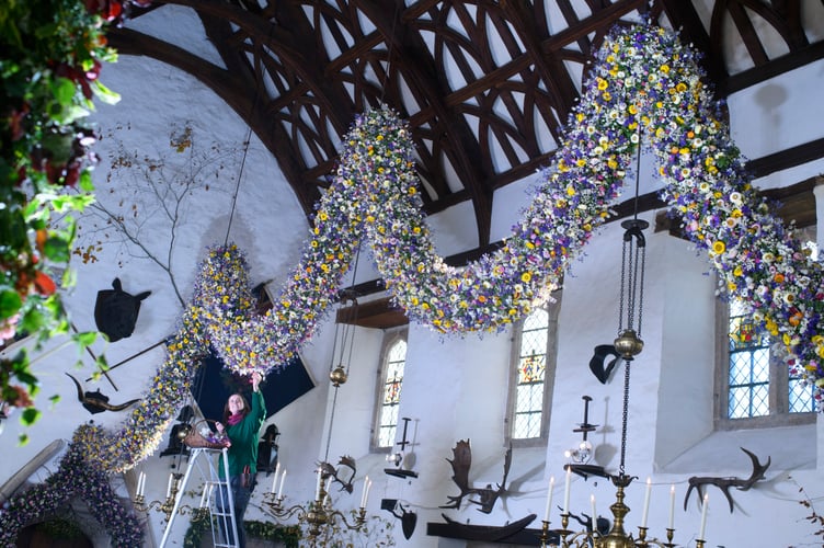 Record-breaking year for Cotehele's famous Christmas Garland
38,000 dried flowers grown, harvested and hand-placed at the National Trust estate in Cornwall
Cotehele celebrates its biggest ever garland, created from 38,000 home-grown flowers
deal growing conditions made 2025 a bumper year for key blooms including paper daisies, bunny tails and statice
Visitors can see the full 60ft garland in the Great Hall daily from Saturday, 22nd November - Monday, 5th January (closed 25th - 26th December), 10.30am - 4pm
Cotehele's celebrated Christmas Garland has reached record heights this year, as gardeners announce a remarkable 38,000 flowers grown, picked, stripped, dried and prepared on site for the 2025 display.
Thanks to a near-perfect spring and summer - with a balanced mix of sunshine, warmth and timely rainfall - the garden team enjoyed one of their most successful growing seasons in decades