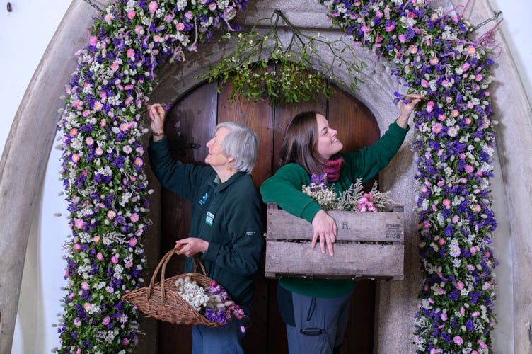 Record-breaking year for Cotehele's famous Christmas Garland
38,000 dried flowers grown, harvested and hand-placed at the National Trust estate in Cornwall
Cotehele celebrates its biggest ever garland, created from 38,000 home-grown flowers
deal growing conditions made 2025 a bumper year for key blooms including paper daisies, bunny tails and statice
Visitors can see the full 60ft garland in the Great Hall daily from Saturday, 22nd November - Monday, 5th January (closed 25th - 26th December), 10.30am - 4pm
Cotehele's celebrated Christmas Garland has reached record heights this year, as gardeners announce a remarkable 38,000 flowers grown, picked, stripped, dried and prepared on site for the 2025 display.
Thanks to a near-perfect spring and summer - with a balanced mix of sunshine, warmth and timely rainfall - the garden team enjoyed one of their most successful growing seasons in decades