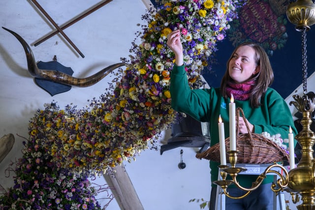 Cotehele marks festive season with record floral display