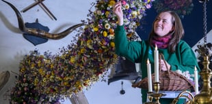 Cotehele marks festive season with record floral display