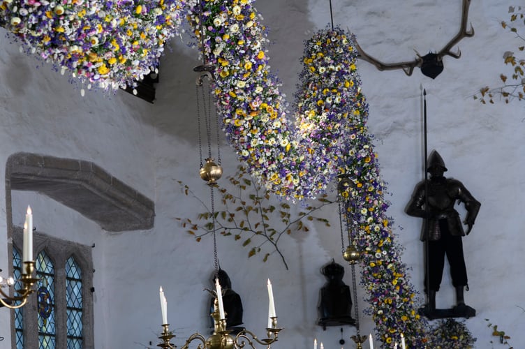 Record-breaking year for Cotehele's famous Christmas Garland
38,000 dried flowers grown, harvested and hand-placed at the National Trust estate in Cornwall
Cotehele celebrates its biggest ever garland, created from 38,000 home-grown flowers
deal growing conditions made 2025 a bumper year for key blooms including paper daisies, bunny tails and statice
Visitors can see the full 60ft garland in the Great Hall daily from Saturday, 22nd November - Monday, 5th January (closed 25th - 26th December), 10.30am - 4pm
Cotehele's celebrated Christmas Garland has reached record heights this year, as gardeners announce a remarkable 38,000 flowers grown, picked, stripped, dried and prepared on site for the 2025 display.
Thanks to a near-perfect spring and summer - with a balanced mix of sunshine, warmth and timely rainfall - the garden team enjoyed one of their most successful growing seasons in decades