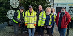 Lions help make town sparkle