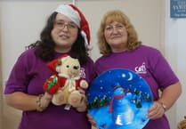 Cat's Protection kick off festive season early