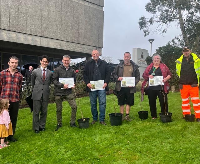 Hiroshima legacy grows in Cornwall with new ginkgo planting