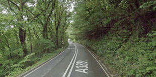 Launceston driver arrested after crashing into tree