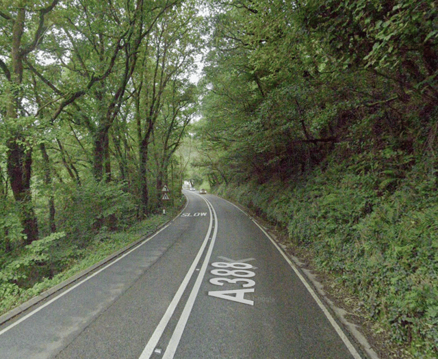 Launceston driver arrested after crashing into tree