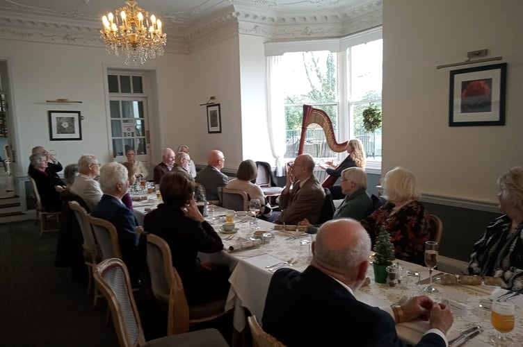 Harpist Bethany Coggon entertaining members of Launceston Probus clubs at their Christmas lunch