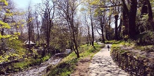 Town council appeals to residents after 'vandalism'