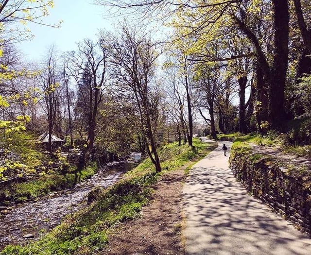 Town council appeals to residents after 'vandalism'