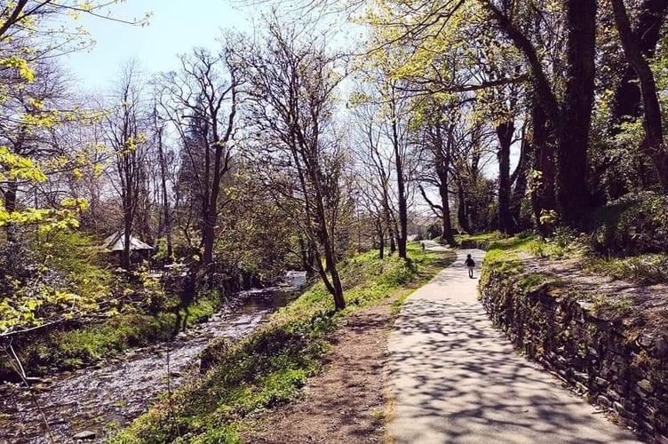 Enfield Park (Picture: Camelford Town Council)