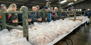 Hallworthy Livestock Market Report: Thursday, December 18