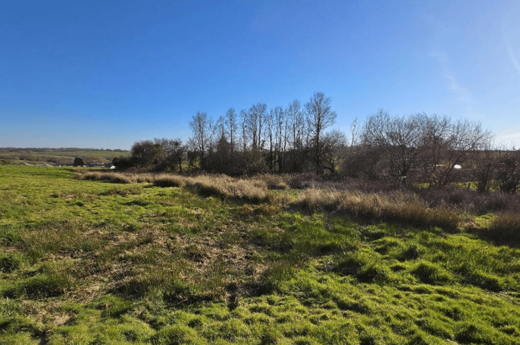 A photo taken of the land at Canal Rise, Bridgerule (Picture: Design with Ecology/Torridge District Council)