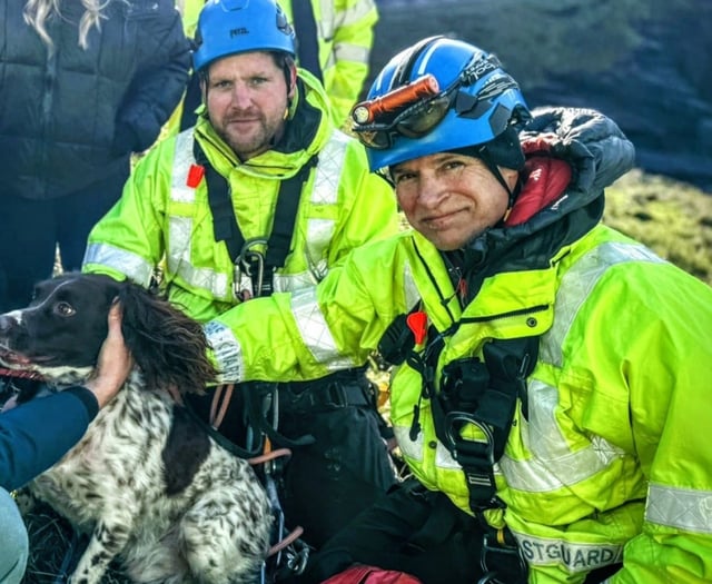 Coastguard heroes rescue dog stranded on 100-foot cliff