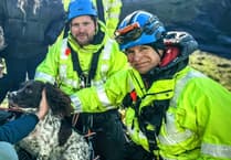 Coastguard heroes rescue dog stranded on 100-foot cliff