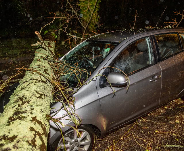 LIVE: Cleanup begins in Cornwall in aftermath of Storm Goretti