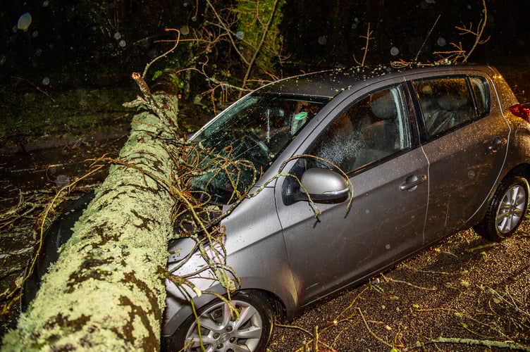 A car fell victim to the ferocity of Storm Goretti, being struck by a falling tree