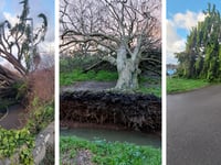 Residents asked to avoid travel 