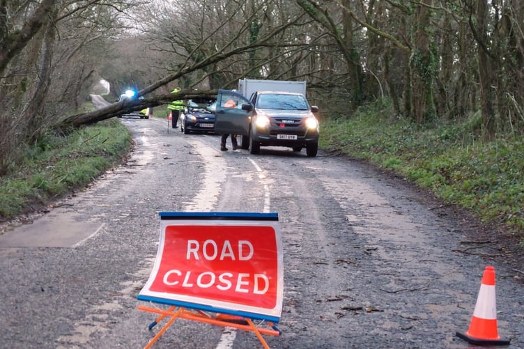 Launceston Sotrm Goretti Tree on Car