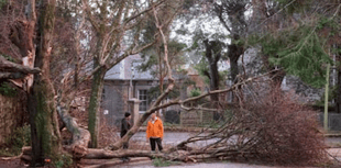 Schools closed in Cornwall to deal with Storm Goretti aftermath