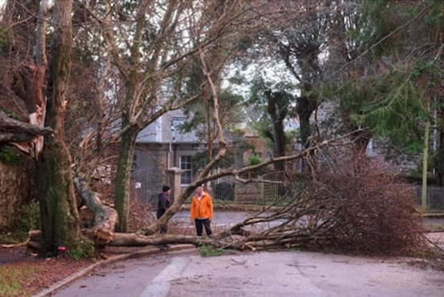 A number of trees have come down across school sites
