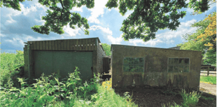 Planning: Horse arena seeks retrospective permission to continue use