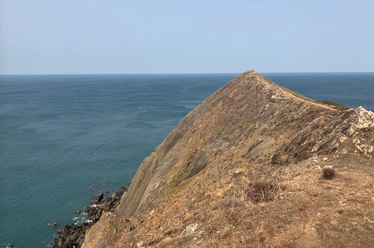 Higher Sharpnose Point, near Morwenstow, provides a spectacular vantage point. (Picture: Andrew Townsend)