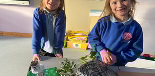 School launches care provisions to support working families