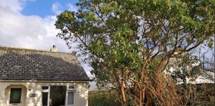 Planning: Houses could be built in location with 'unprotected' NDP