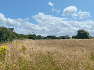 Proposals for 49 homes in coastal village submitted 