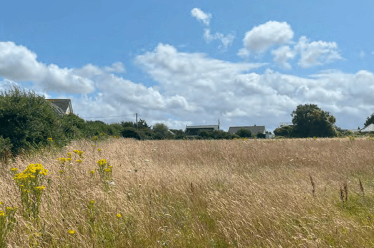 The land in St Minver as it presently stands (Picture: Cornwall Council)