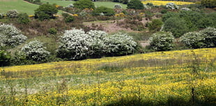 Henwyn tyller/Place names: Bissoe