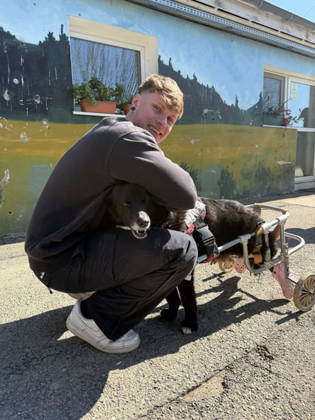 Toby Craze, from Bodmin visiting one of the dogs at the Romanian Shelter. 