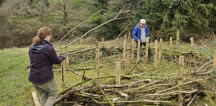 Volunteers breathe life into Launceston community woodland