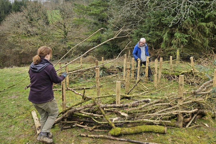 Launceston Community Woodland