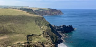 Coastal Cornwall - Woods where you feel you've stepped back in time